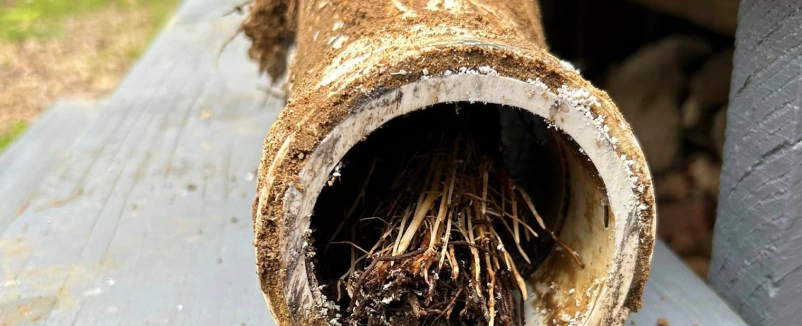 Drain Cleaning Services